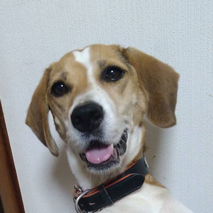 60a67d1e 7193 41e2 95af f7a0dfcc4159 1631014218945