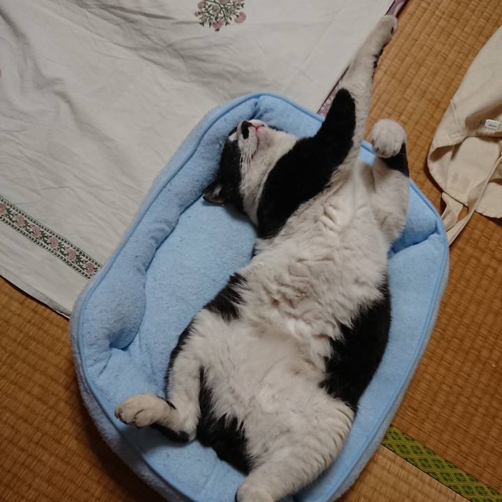 60a6cb40 50dd 4a75 9a42 c17d50c58e24 1527341765513