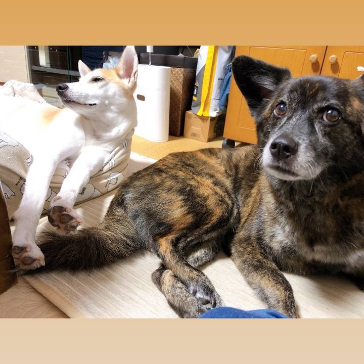 60a6cd11 5815 44b5 a76d 0647eb3ba1ae 1599399156107