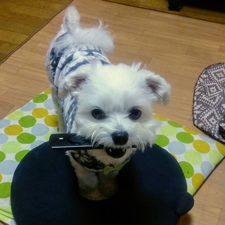 60a6d1dc d520 4c95 acd9 0471568e54ad 1508410646625