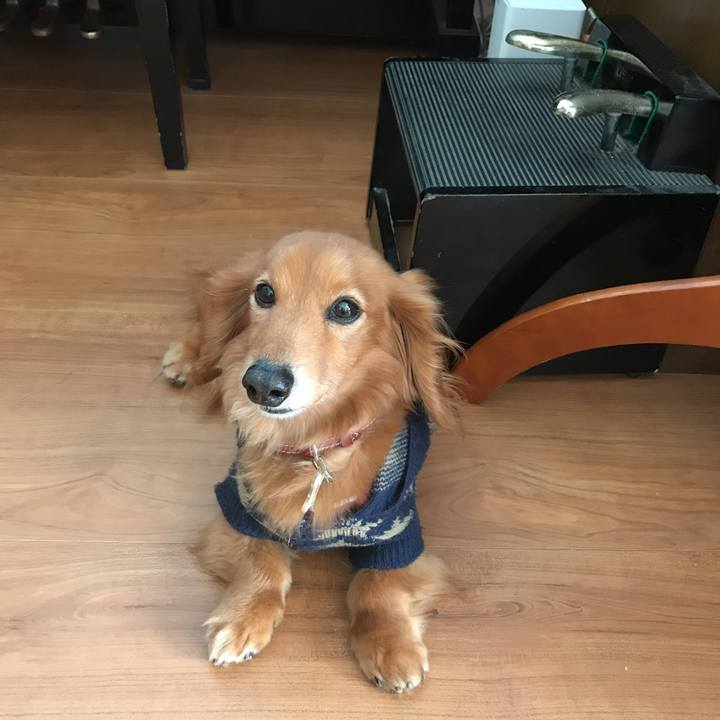 60a6e6dd 05f5 4083 9eea 339fbd794f9f 1518841282157