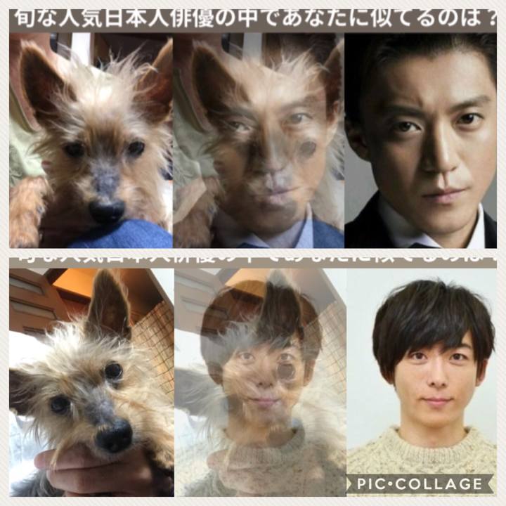 60a6ffd1 9980 443d 8a70 00ea8a716c07 1528533785140