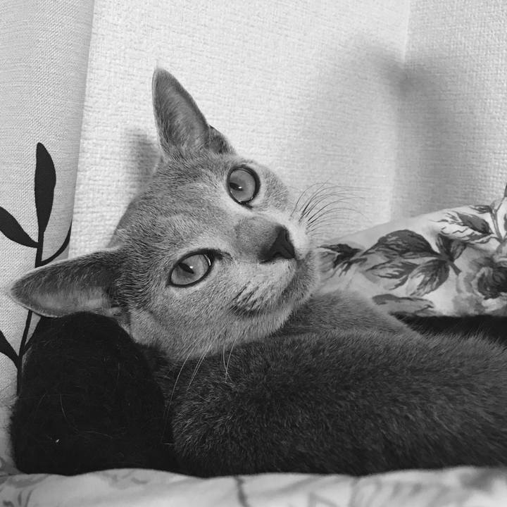 60a7134a c133 4647 9fd7 9b2703d7ed63 1521289108577