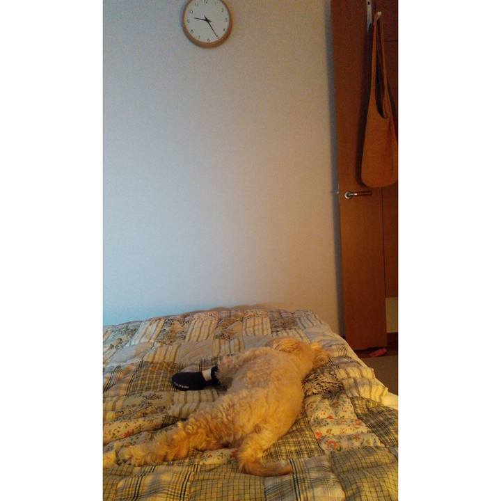 60a7395b bfcd 410e a3c8 900540aa40d1 1626352168379