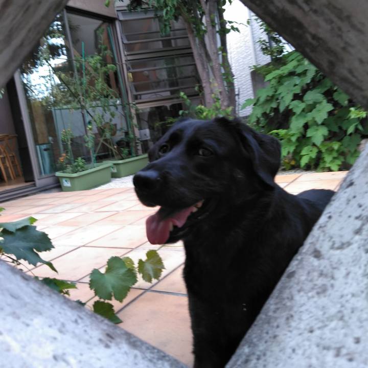 60a73b2b 067f 4d2a b246 a1706ab48e44 1561540589510