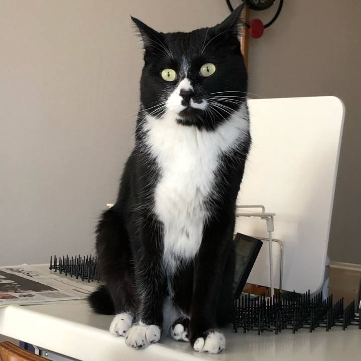 60a76144 80ba 418d aae7 77dad6bd4b47 1555041339802