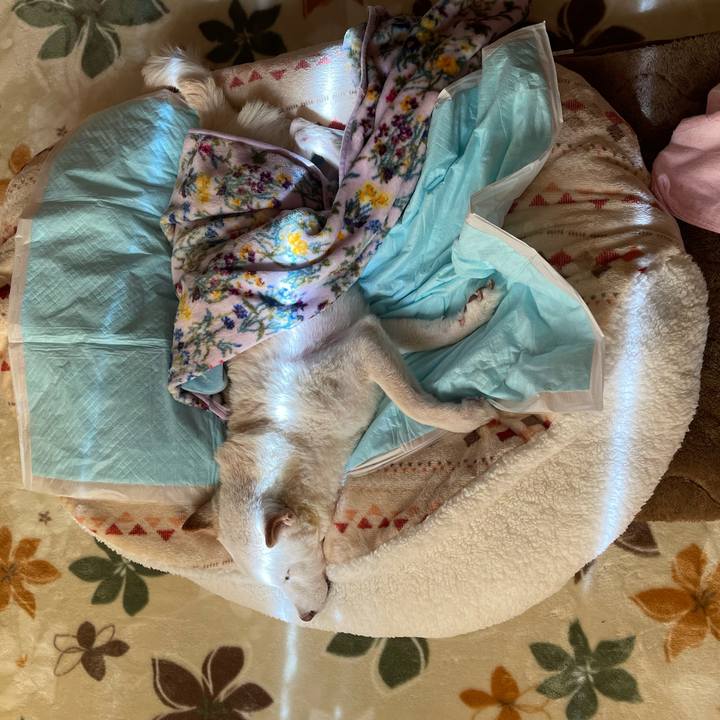 60a78b25 a3c4 49d5 9bca 512c12448807 1669258740307