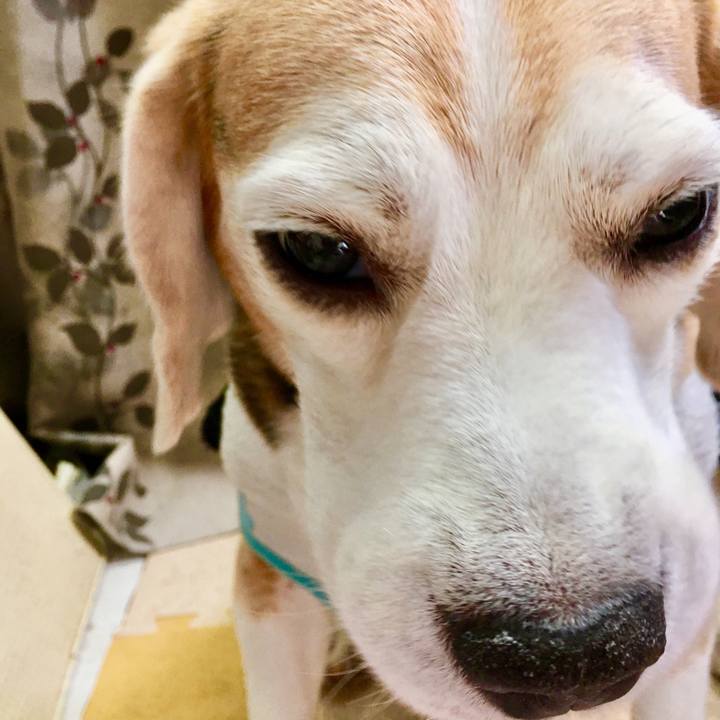 60a7940d 7492 42aa b2cc 51c23a42a0f4 1565846520983