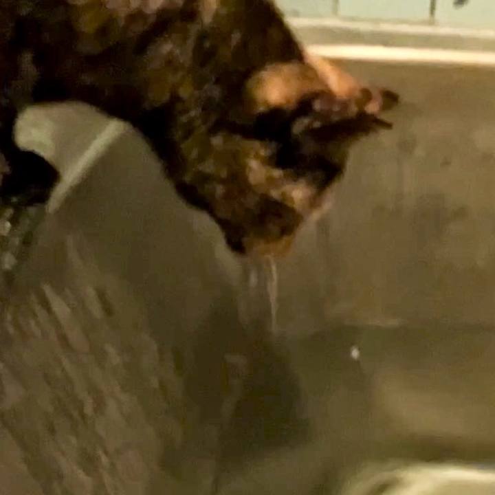 60a7a8ca 4655 4e13 8d3d 29246be81ea4 1728591804569