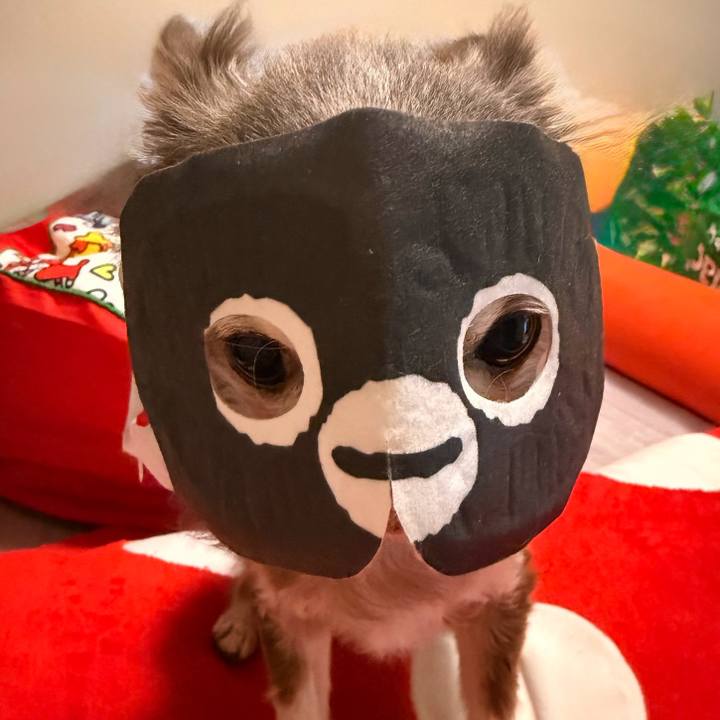 60a7b6a2 4c0a 4931 b180 33e0410d7624 1774245192368