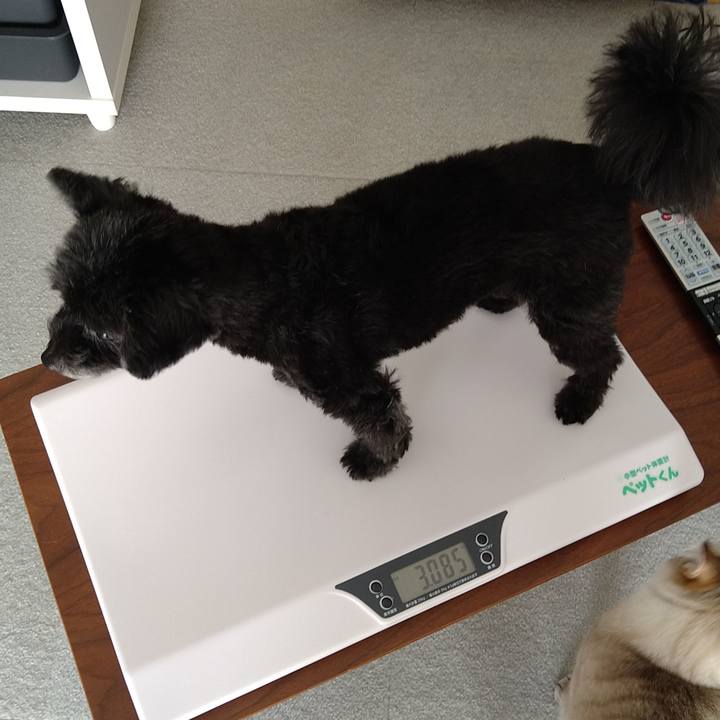 60a7bbda ab18 41a5 8a8b d2487e35e77d 1624258403255