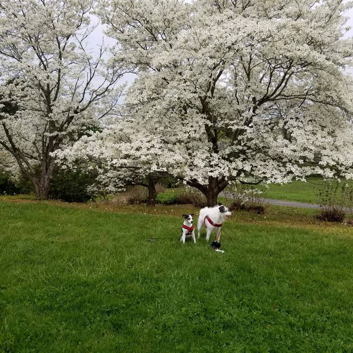 60a7cf7a fc52 499a b350 61bcb3b8ef8d 1710021673054