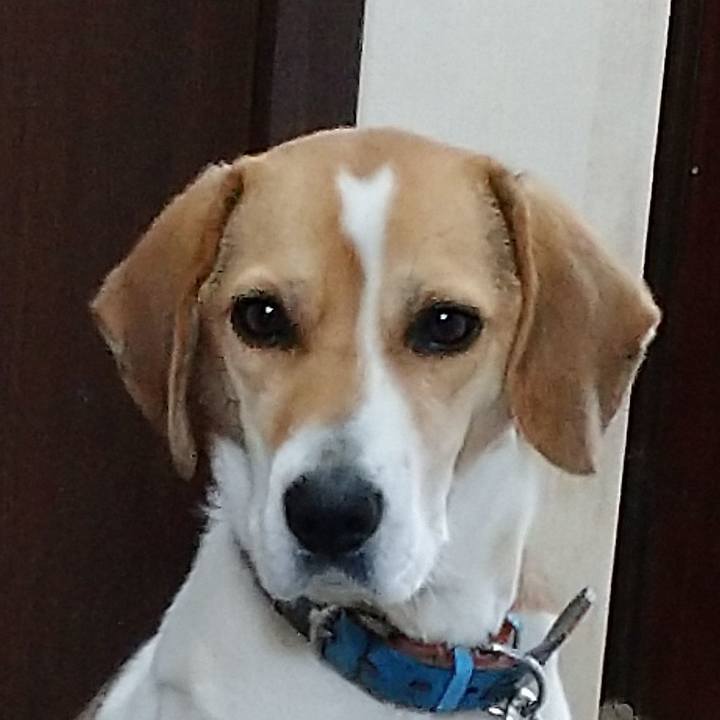 60a7edd5 06f8 4956 90dd 6a160f8681a1 1609761752126