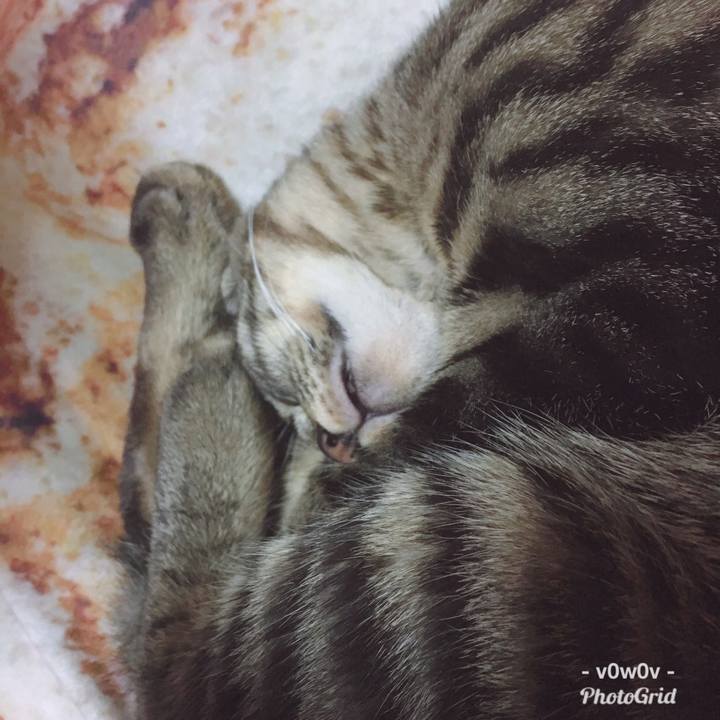 60a7f1a6 460c 47c9 9736 b77cf6830a9e 1545575854660