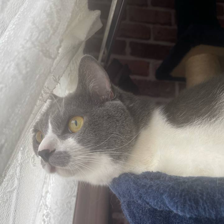 60a82fa0 e95a 4b7d a8dc 8eb457c03c21 1664320240253