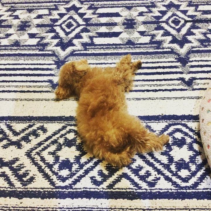 60a84fdf 2815 461a 9b77 c531deb245cd 1614952821107