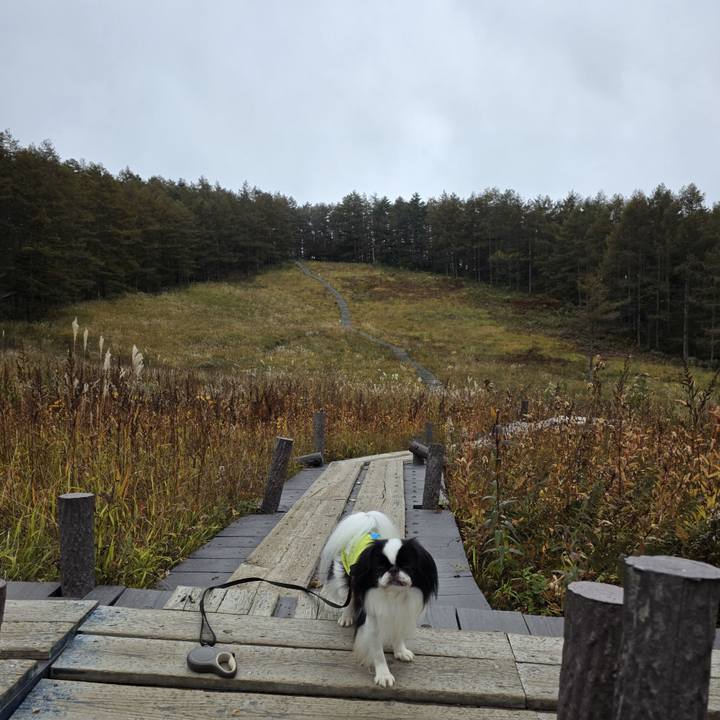 60a8647b bacf 4f6f bfb0 2de264fada86 1759994829956