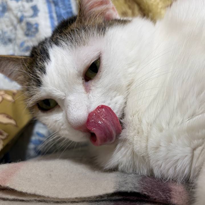 60a8b9b7 3e4a 4817 b7b5 6f4b4152b330 1768045342911