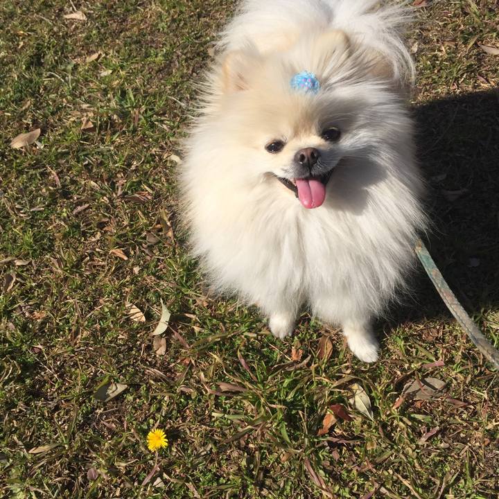 60a8be74 de97 46c6 978f edaad9d9bdea 1548998679221