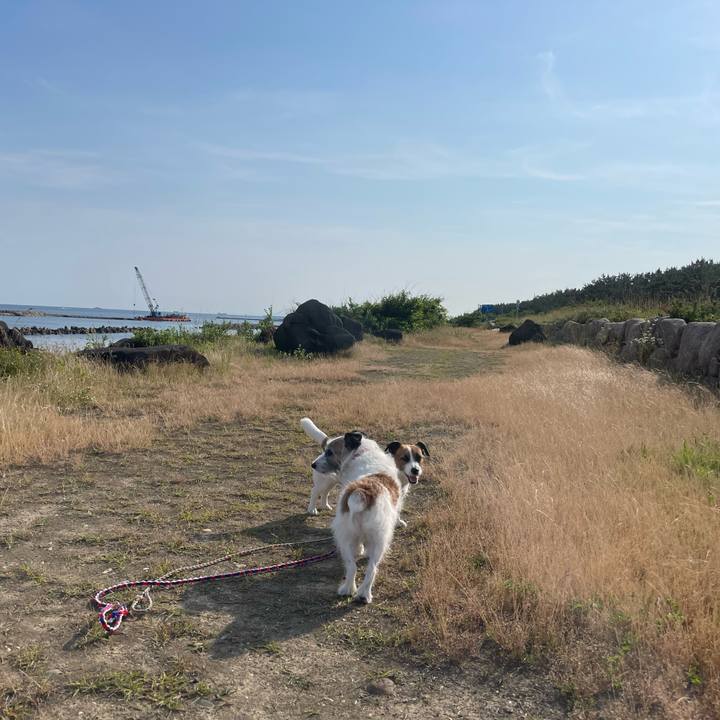 60a8c58c db7b 49d9 ac2d 50355862018d 1719033169298