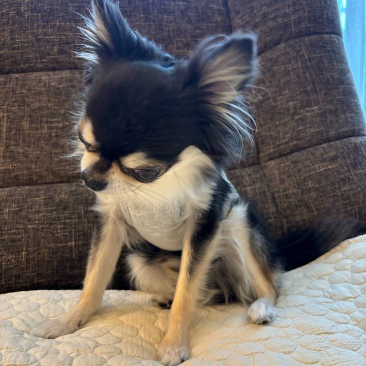 60a8c8f7 d015 41d5 b345 df27986eed73 1730045847800