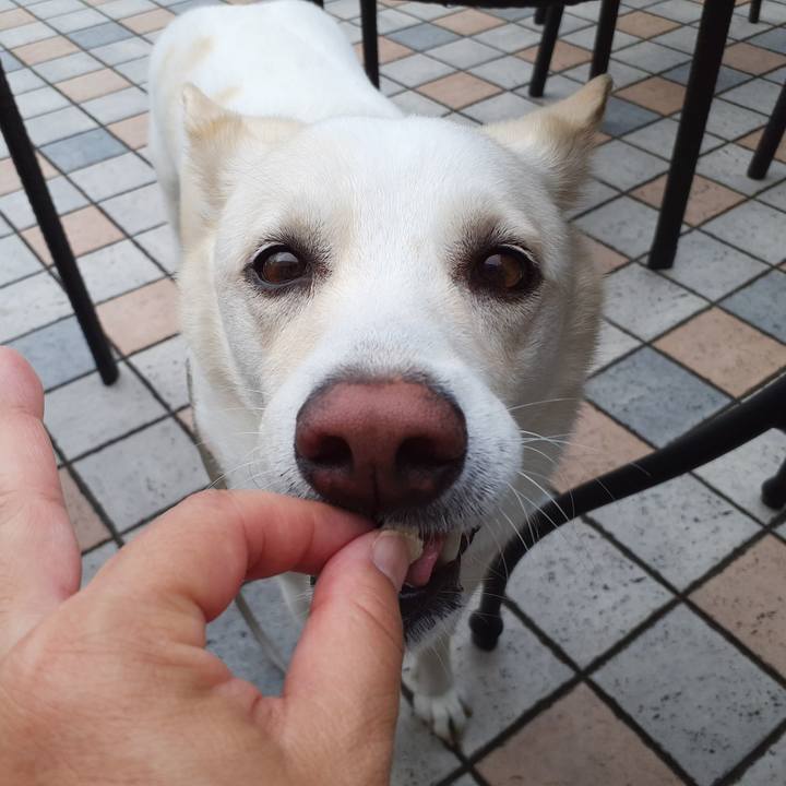 60a8d515 7e69 4696 bdfd a056ecb52e29 1694845842003