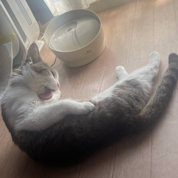 60a8ddce 1cb9 4005 b2d1 67dd5eeb0e70 1632892101228