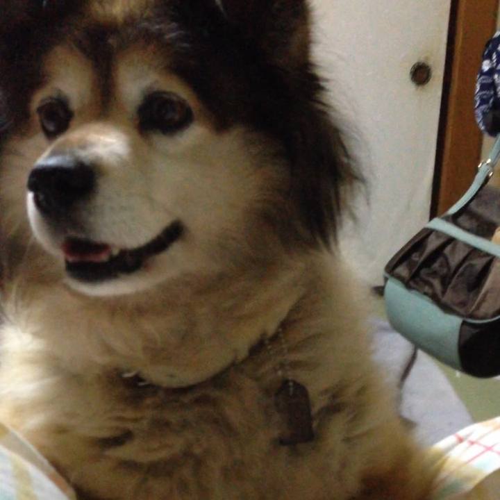 60a905d2 aa12 467a a483 4b7824628731 1573823591167