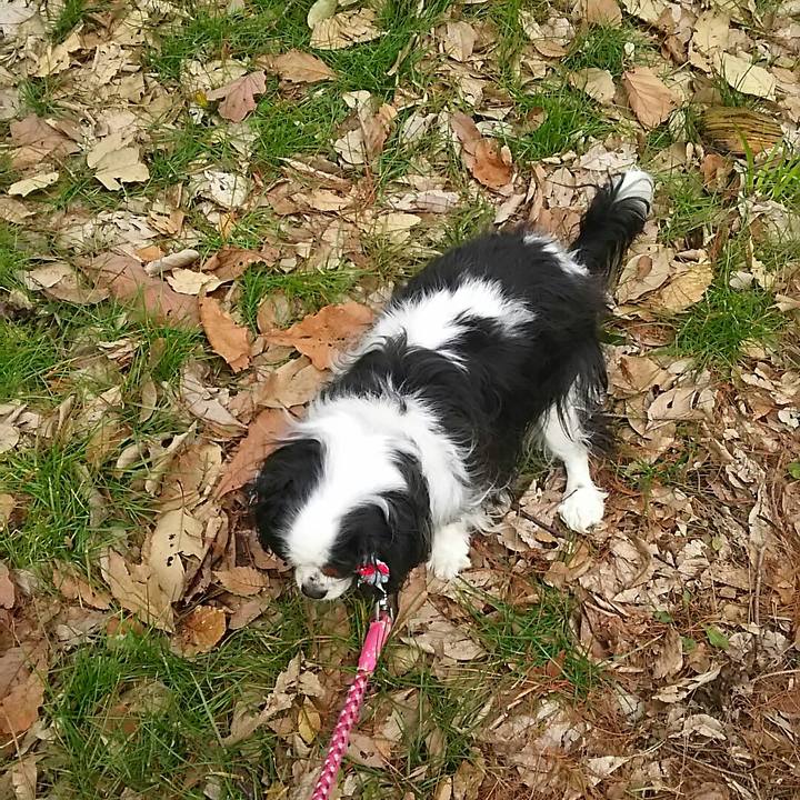 60a96cf3 8f8d 4f92 b649 fb1e406eec71 1549433575331