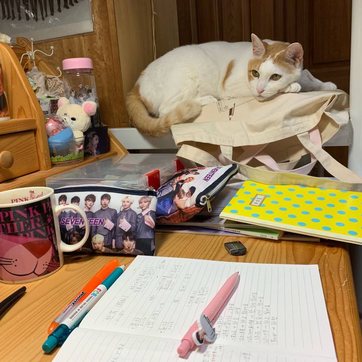 60a97076 078f 4eb7 9791 cf135f4a3609 1560083256323