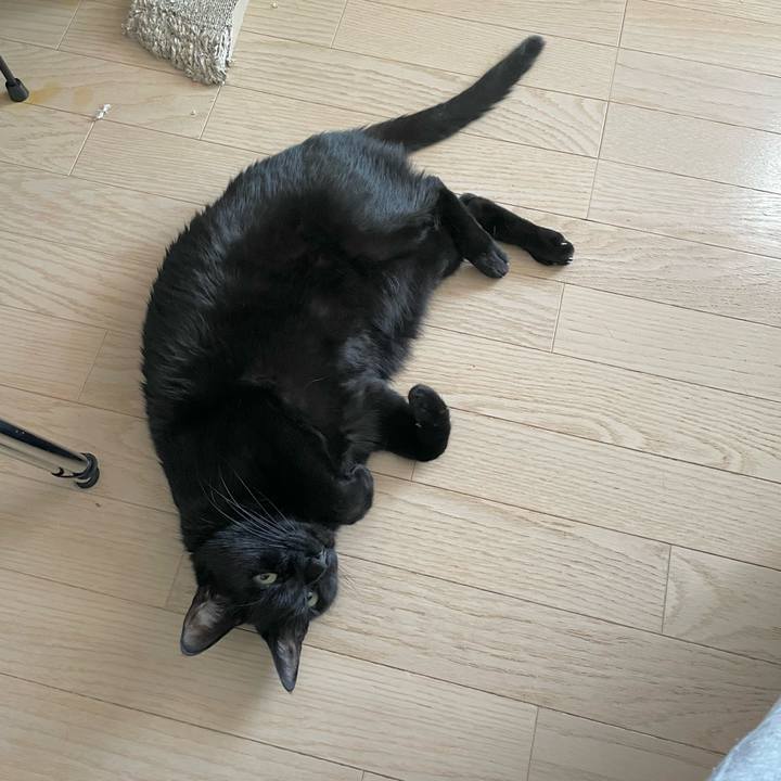 60a988c9 d0d3 47dd bbed 069ee473cd1f 1701693646129