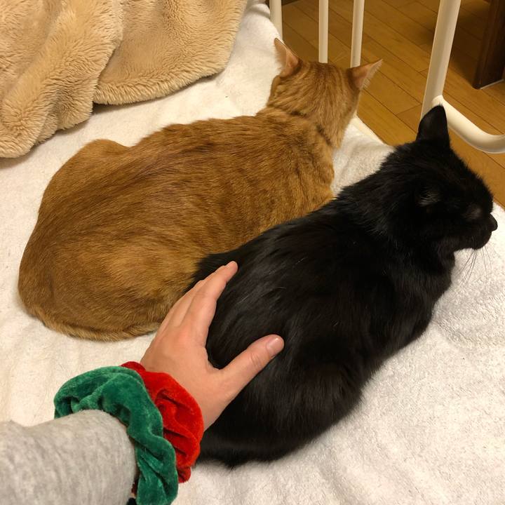 60a9b521 6b36 4035 aad7 3b420351184e 1577273757745