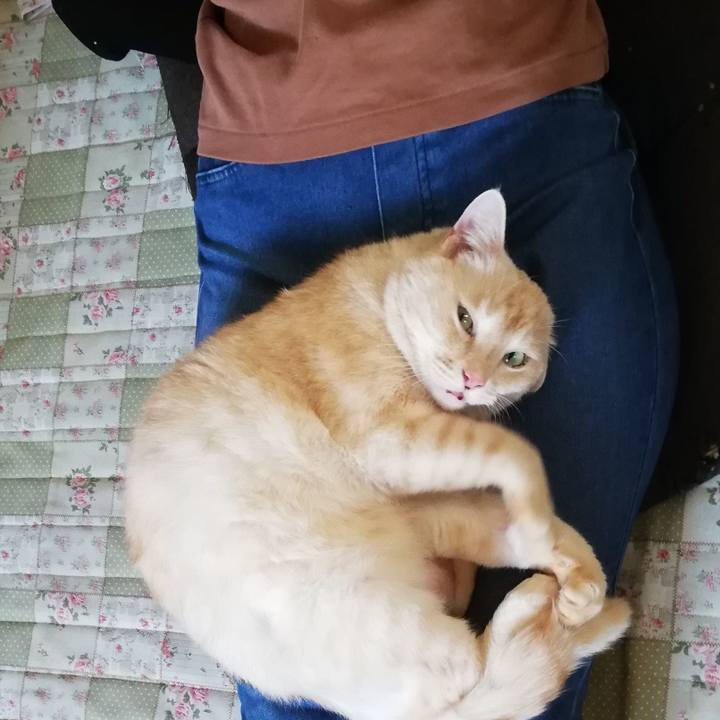 60a9b5e6 095c 40b2 90b1 abc8141c65e8 1621754901645