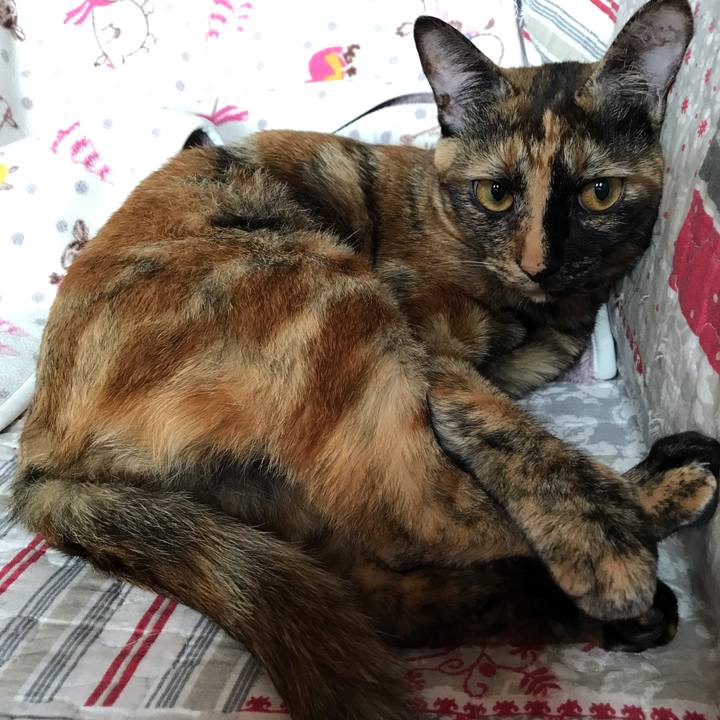 60a9bd7d e8ab 4270 83c9 5a4f339786fc 1631134249490