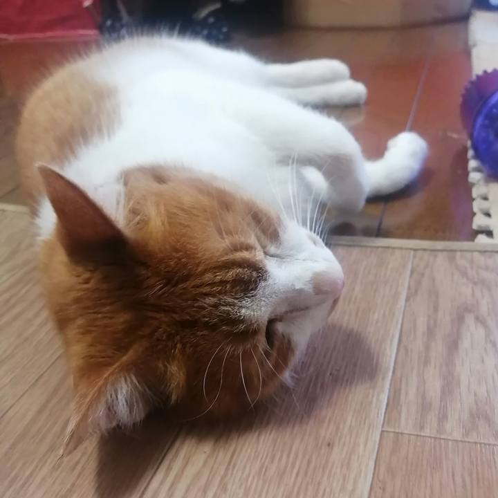 60a9d092 c36a 4370 b1cb 9ec21341b9e2 1626996304493