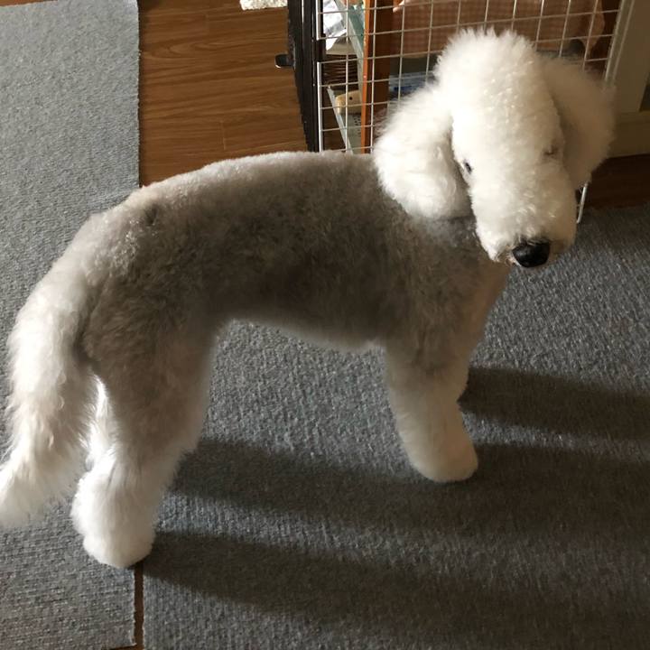 60a9f0e5 4ac2 41e9 ab40 ca5d0c1c307f 1599895333695