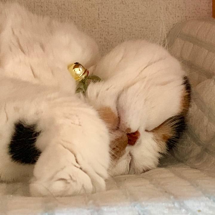 60a9f36a 5e39 4a65 8f20 33bc14aa4cf1 1562803163437