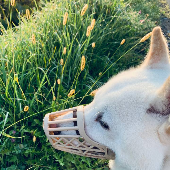 60a9f8a5 4248 4653 b52f 5b5d0d1fbf05 1600984221518