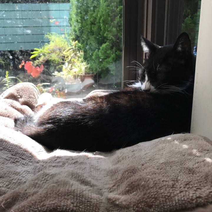 60aa008a 131a 4a4b bd11 2403bd8f5632 1508478895130