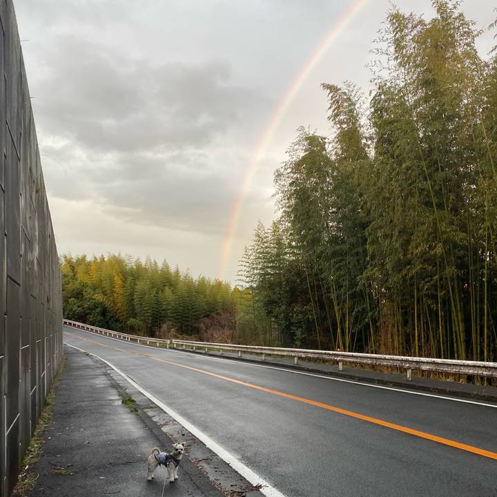 60aa88e7 5c43 4576 8346 6baf8b09036e 1615638521905