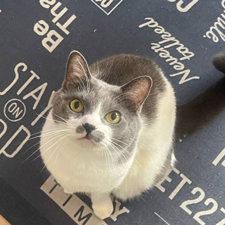 60aab3b1 9fda 4cf3 b090 39322856c04a 1731368791662