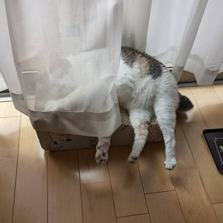 60aab3c9 39d4 4737 beed cba027f390a4 1689046294103