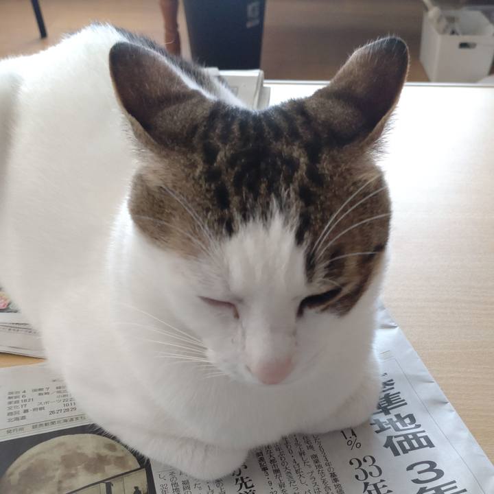 60aaef1c c4fa 479f 8639 621db215d417 1726627564071