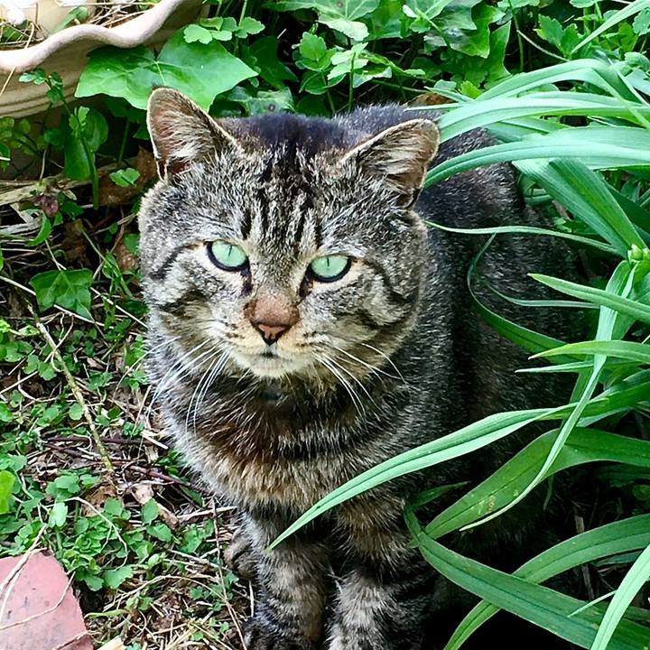 60ab3522 bcb2 4d56 9e7d 5bd295fbb5d2 1620633823835