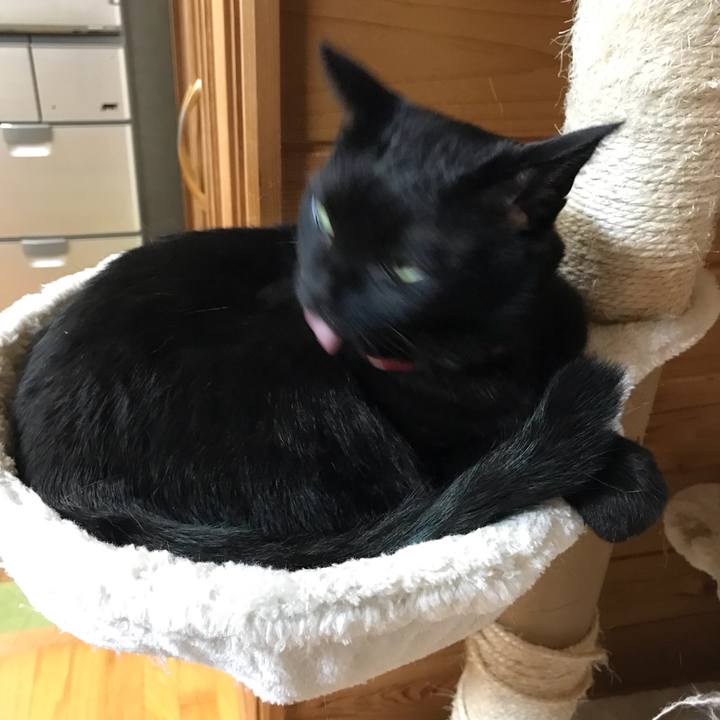 60ab8c55 5205 4c98 9549 5ad49089d499 1524226282696