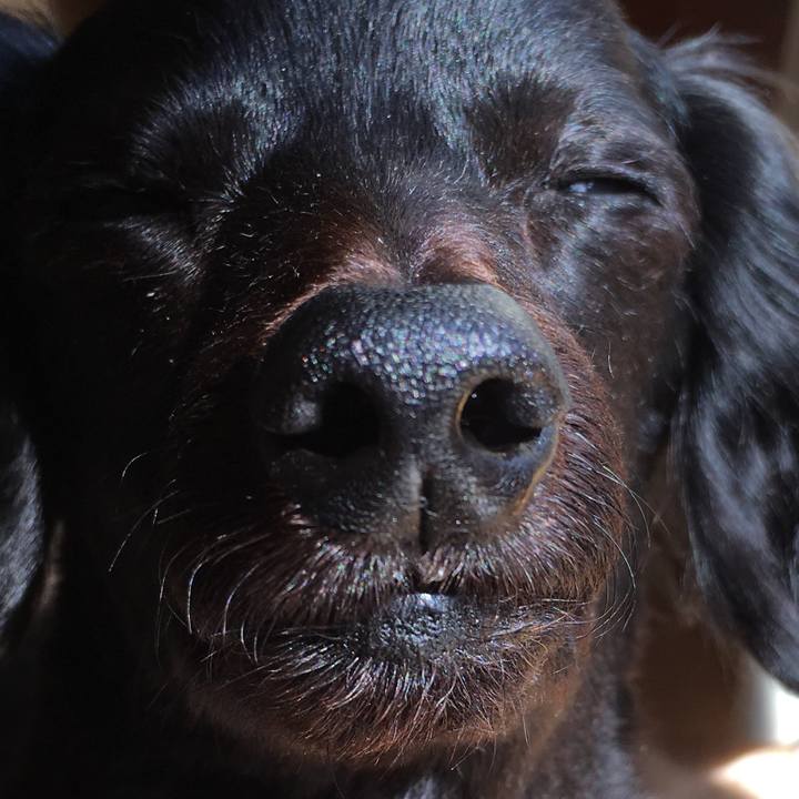 60abad87 2e1c 445a bfe8 26fb6146ac77 1614548205135