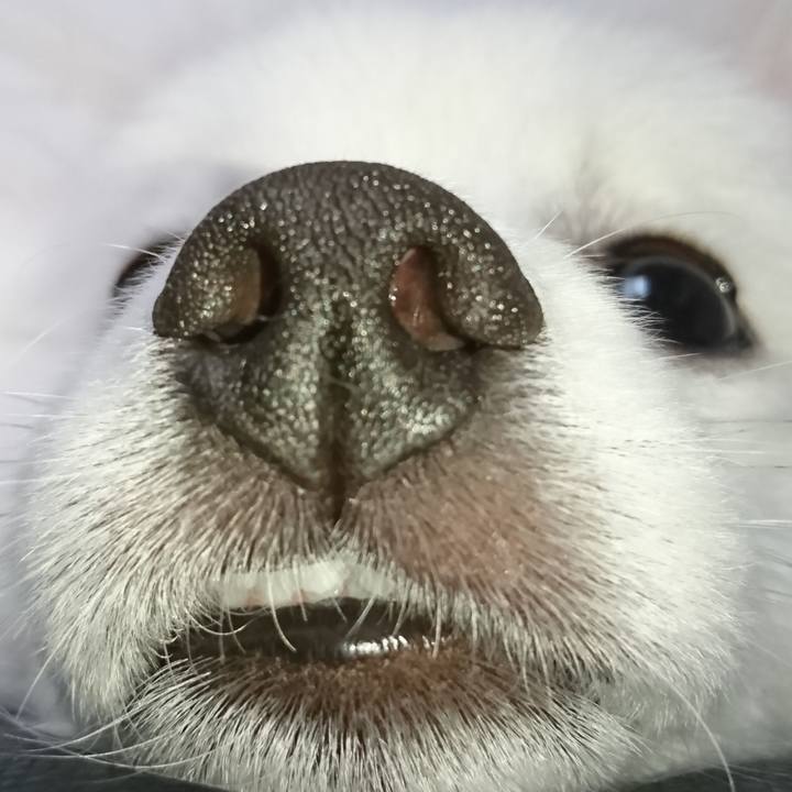 60abb858 8c7b 44e7 89b9 152b73509dc1 1555648253983