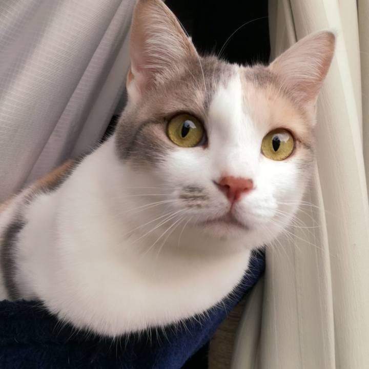 60abb92a a942 42b8 bb44 703ca86d1b3c 1525660838578