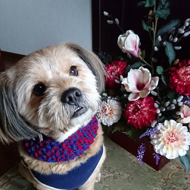 60abc2c7 949b 44cc a613 1012f38331a7 1514767063532