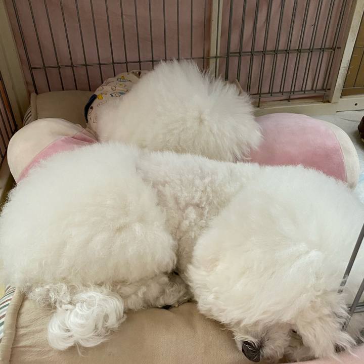 60abf033 e2b0 4e38 a1cf 647841b2ed46 1618381753103